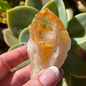 Large Natural Citrine Point 9.5cm | Golden Crystal for Abundance, Manifestation & Joy | CrystalsMEOW