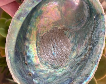 Natural Paua Shell, Abalone Shell Dish, New Zealand Shell, Smudge Bowl, Jewellery Dish, Ocean Decor, Spiritual Gift