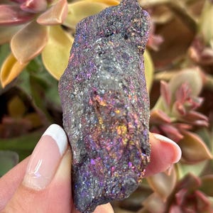 May include: A dark grey mineral with shimmering areas of purple, gold, and blue. The stone is held in a hand, with a blurred backdrop of green and pink succulent plants. The mineral's surface has a textured, irregular appearance.
