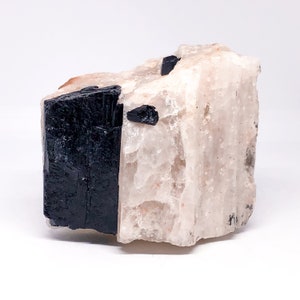 Raw Black Tourmaline & Quartz Chunk | Half Light, Half Shadow | Cruella Crystal for Protection, Purity + Power | CrystalsMEOW