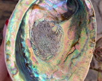 Natural Paua Shell, Abalone Shell Dish, New Zealand Shell, Smudge Bowl, Jewellery Dish, Ocean Decor, Spiritual Gift