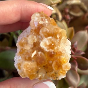 Citrine Cluster Pair | Set of 2 Natural Crystal Clusters for Abundance, Joy & High Vibes | CrystalsMEOW