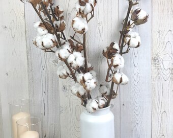 Fleurs séchées de coton à la tige tige de fleurs de coton - Etsy France