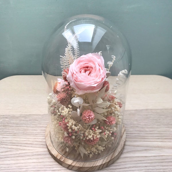 Cloche de fleurs séchées avec rose éternelle sous cloche et boutons de rose, décoration intérieur
