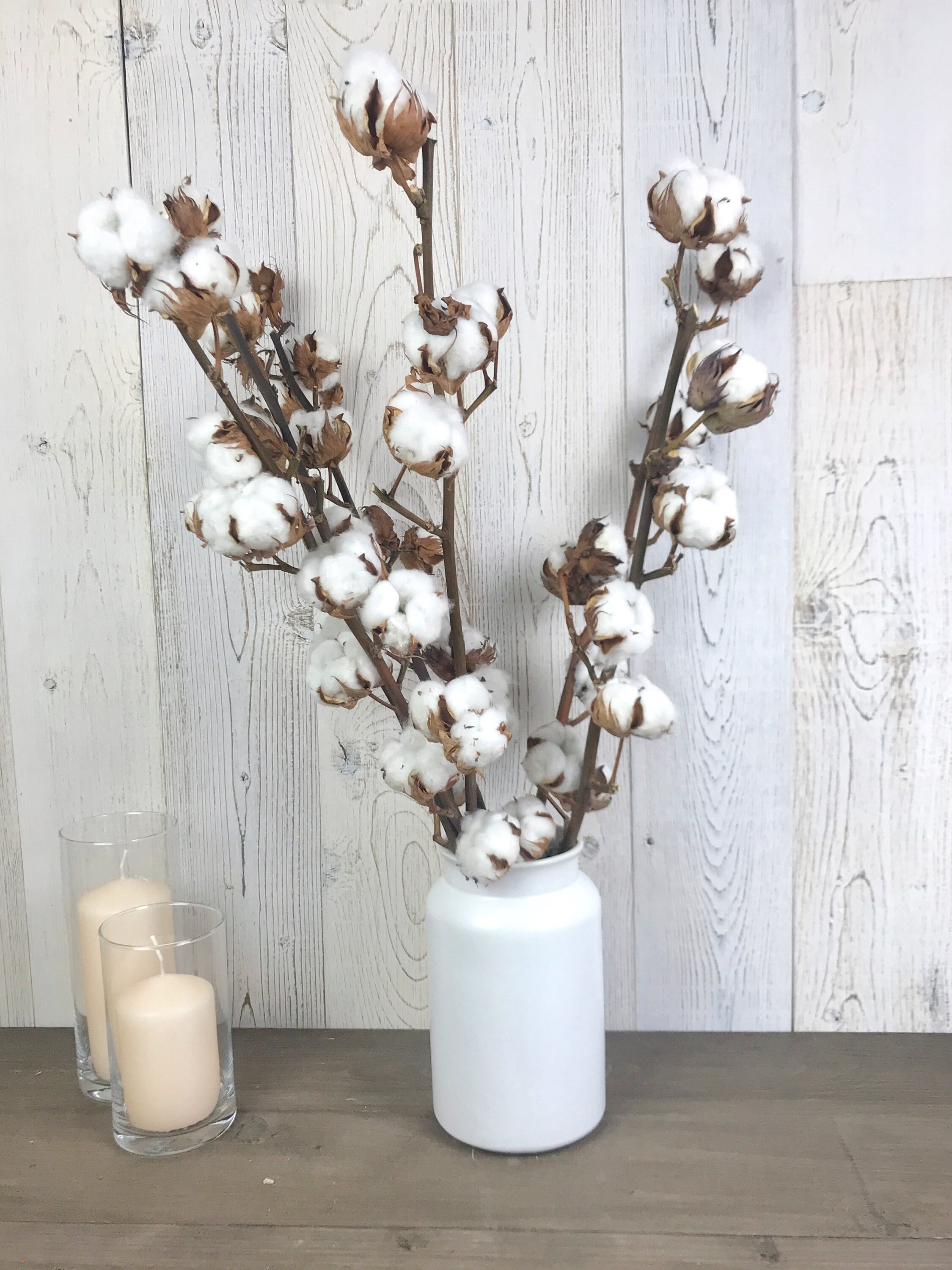 Fleurs Séchées de Coton à La Tige, Tige Fleurs Naturelle, Branches Naturel