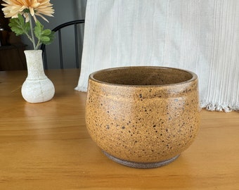 Butterscotch Yellow Speckled Planter Bowl for House Plants Indoor Tropical Hand Made Stoneware