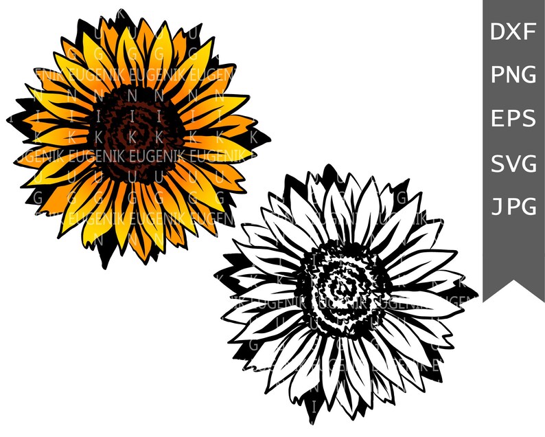 Free Free Sunflower Svg Bundle 674 SVG PNG EPS DXF File