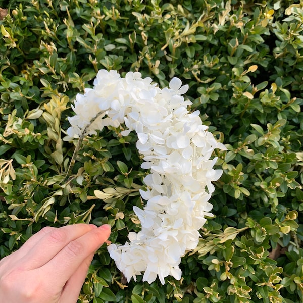 Couronne de fleurs blanches, couronne de fleurs de demoiselle d'honneur, casque de mariée fleurs séchées, bandeau d'hortensias préservé, couronne de mariée bohème, bandeau blanc