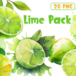 Aquarell Limetten Clipart - Tropische Frucht, Zitrusfrucht, Limettenscheiben, Limettenblätter Clipart, Sommerfrucht PNG