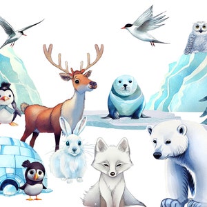 Puede incluir: Una ilustración de acuarela de varios animales árticos, incluyendo un oso polar, un reno, un zorro, una foca, un pingüino, un búho nival y un conejo. Los animales están sobre un fondo de hielo y nieve.