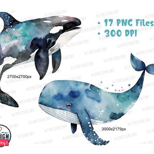 以下が含まれることがあります： 青と白のカラーリングで描かれた、青いクジラとシャチの水彩画。クジラは右を向き、シャチは左を向いている。クジラはシャチよりも大きい。背景は白です。