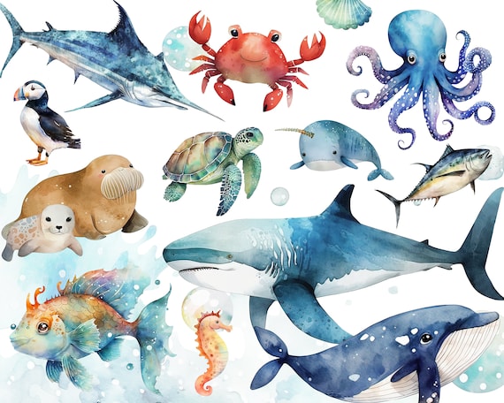 Watercolor Sea Animals Nursery Marine Life Clipart PNG Sealife Clipart Cute Sea Animals, Cute Ocean Decor For Kids Marine Animals Sea Fish