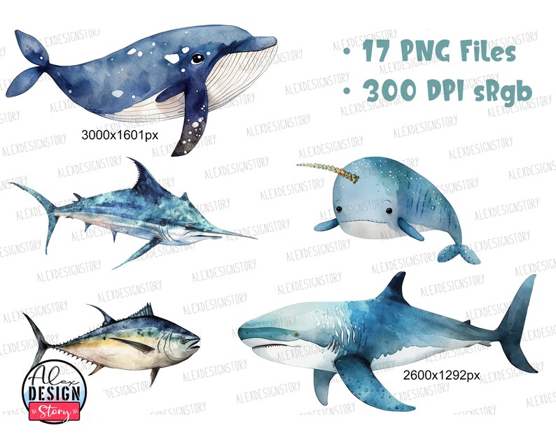 May include: Watercolor illustrations of various sea creatures, including a whale, marlin, narwhal, tuna, and shark. The illustrations are in shades of blue and white, with a speckled background. The text "17 PNG Files" and "300 DPI sRgb" is included in the image.