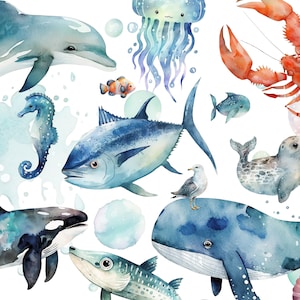 Acuarela Animales marinos Vivero Vida marina Clipart PNG Sealife Clipart lindo Animales marinos png Bajo el mar Cumpleaños Clip Art Animales marinos