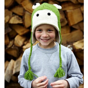 May include: A green and white knitted frog hat with black eyes and a long green braid on each side. The hat is worn by a child with a big smile.