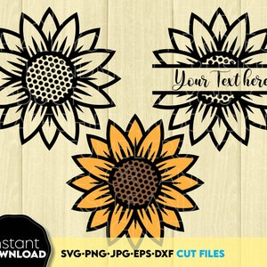 Demi tournesol svg | bordure tournesol svg | svg tournesol divisé | tournesol monogramme svg | fichier svg tournesol pour Cricut | clipart tournesol