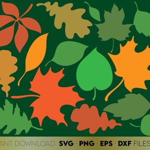 Autumn Laves SVG Bundle | Fall Leaves SVG | Fall SVG | Autumn Leaf Svg | Autumn Decor | Fall Autumn Svg | Autumn Leaves Clipart | Leaves Cut
