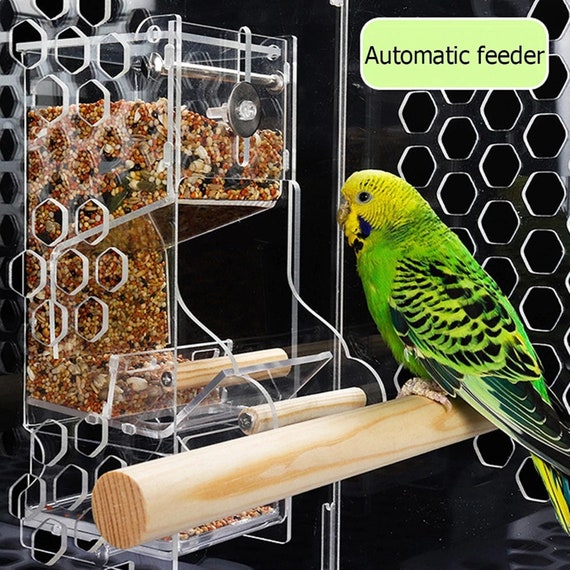 Bird Food Container Dispenser Feeding Device Enduring Etsy