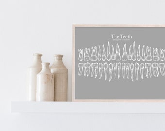 Medizin Poster Etsy