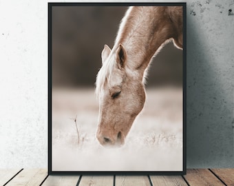 Horse Print, Animal Prints, Horse Photo, Animal Photography, Animal Decor, Horse Wall Decor, Digital Photography Prints, Animal Photo