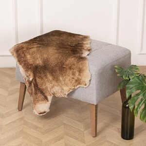 May include: A brown faux fur throw draped over a light gray upholstered ottoman with wooden legs. A green leafy plant is in a brown glass bottle on the floor.