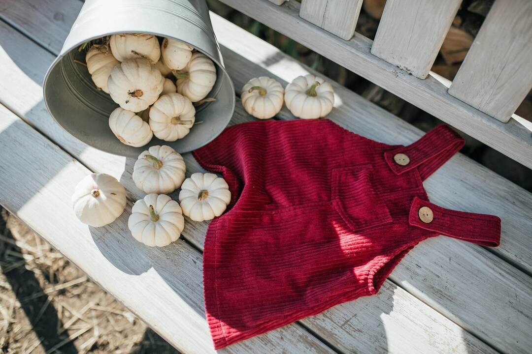 Claire & Charlie Baby / Toddler Girls Red Corduroy Dress with Red Floral Front Pleat main image 1