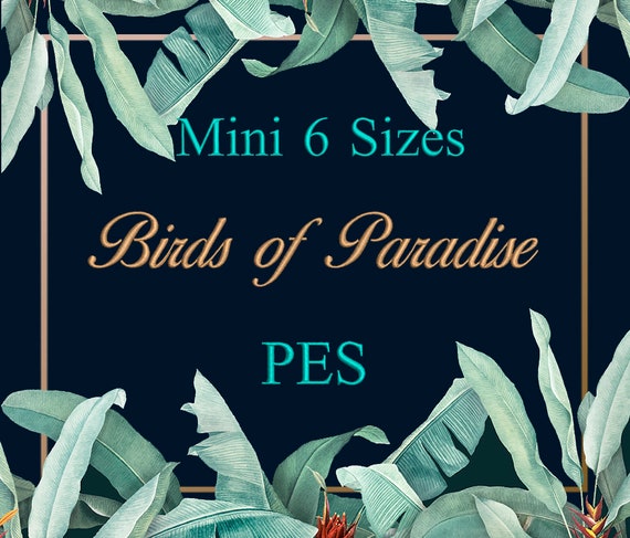 6 Sizes Mini Fontbirds Of Paradise Fontpescalligraphy Etsy