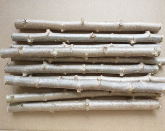 10 Fresh Cuttings- 10" of Yuca Cassava Tapioca Manihot esculenta Plant Yucca Tree Stem Cuttings - 10 inch long