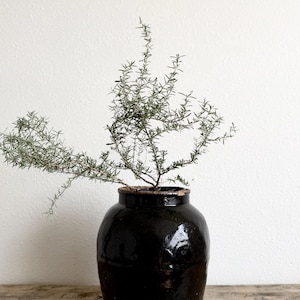 May include: A set of three ceramic mugs with a speckled, matte finish. The mugs are in shades of cream, light gray, and dark gray. Each mug has a simple, minimalist design, suitable for coffee or tea.
