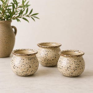 Rustic Mini Ceramic Pots Set of 3