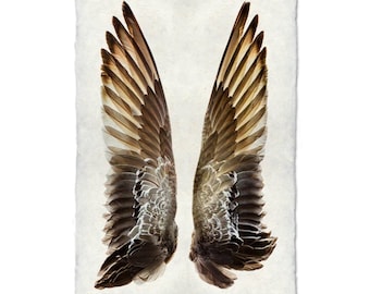 Large Gadwall Duck Wings Wall Art | 40x60 Art