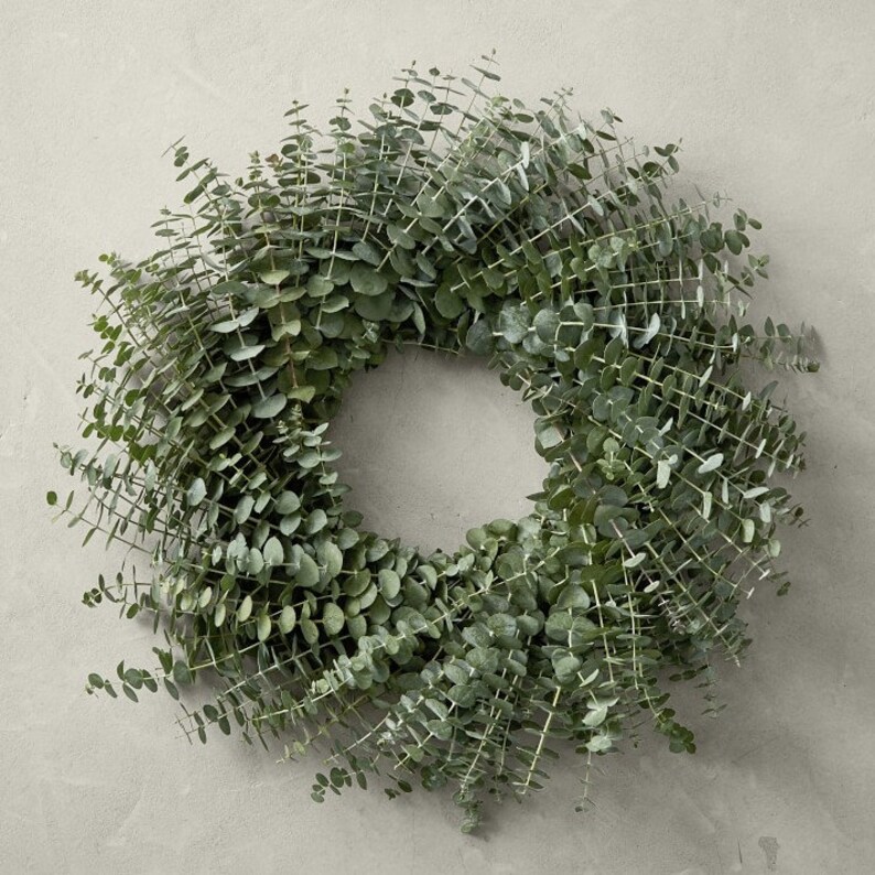 Fresh Baby Blue Eucalyptus Wreath Eucalyptus Wreath Fresh Etsy