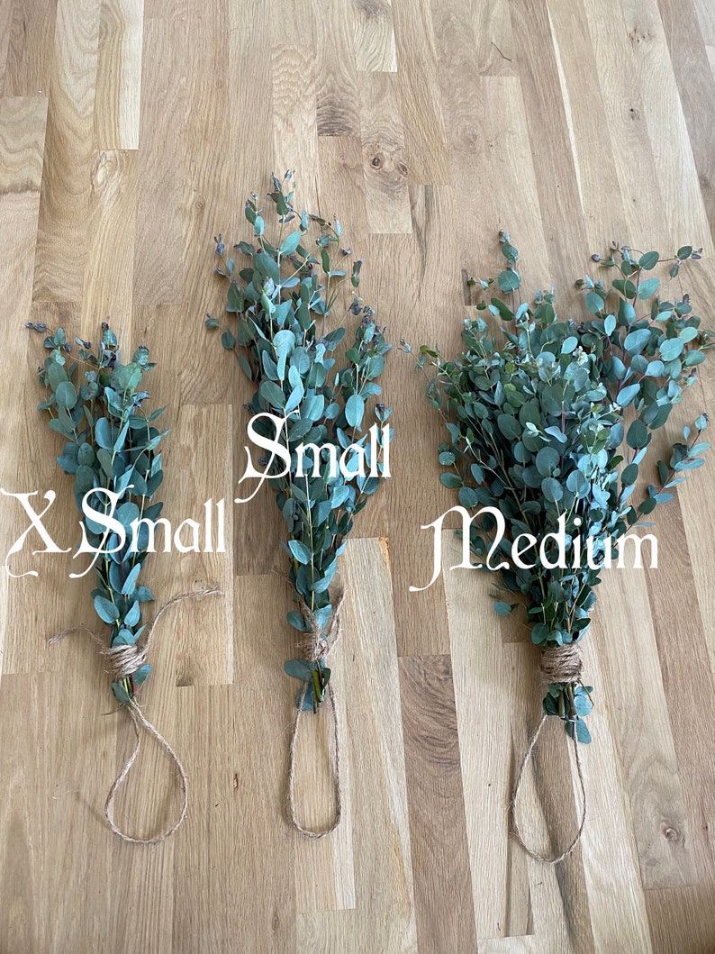 Shower Eucalyptus Bundle Fresh Eucalyptus Aromatherapy Etsy