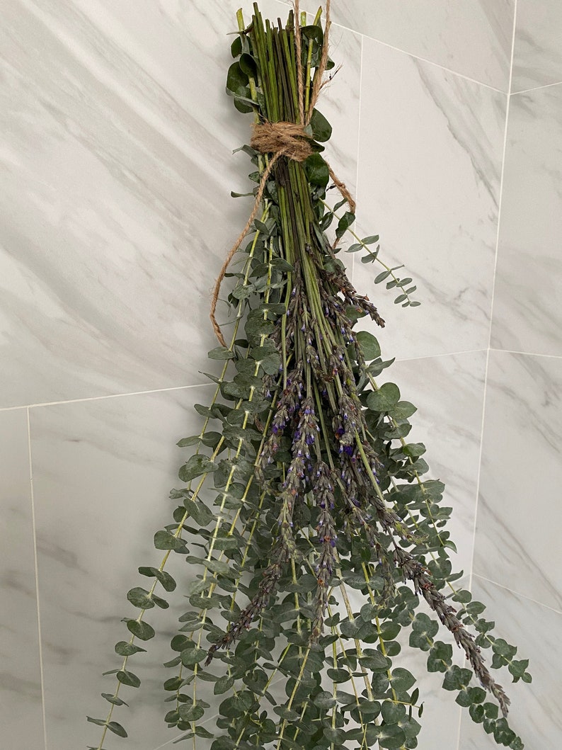 Shower Eucalyptus Bundle with Fresh Lavender Aromatherapy Etsy