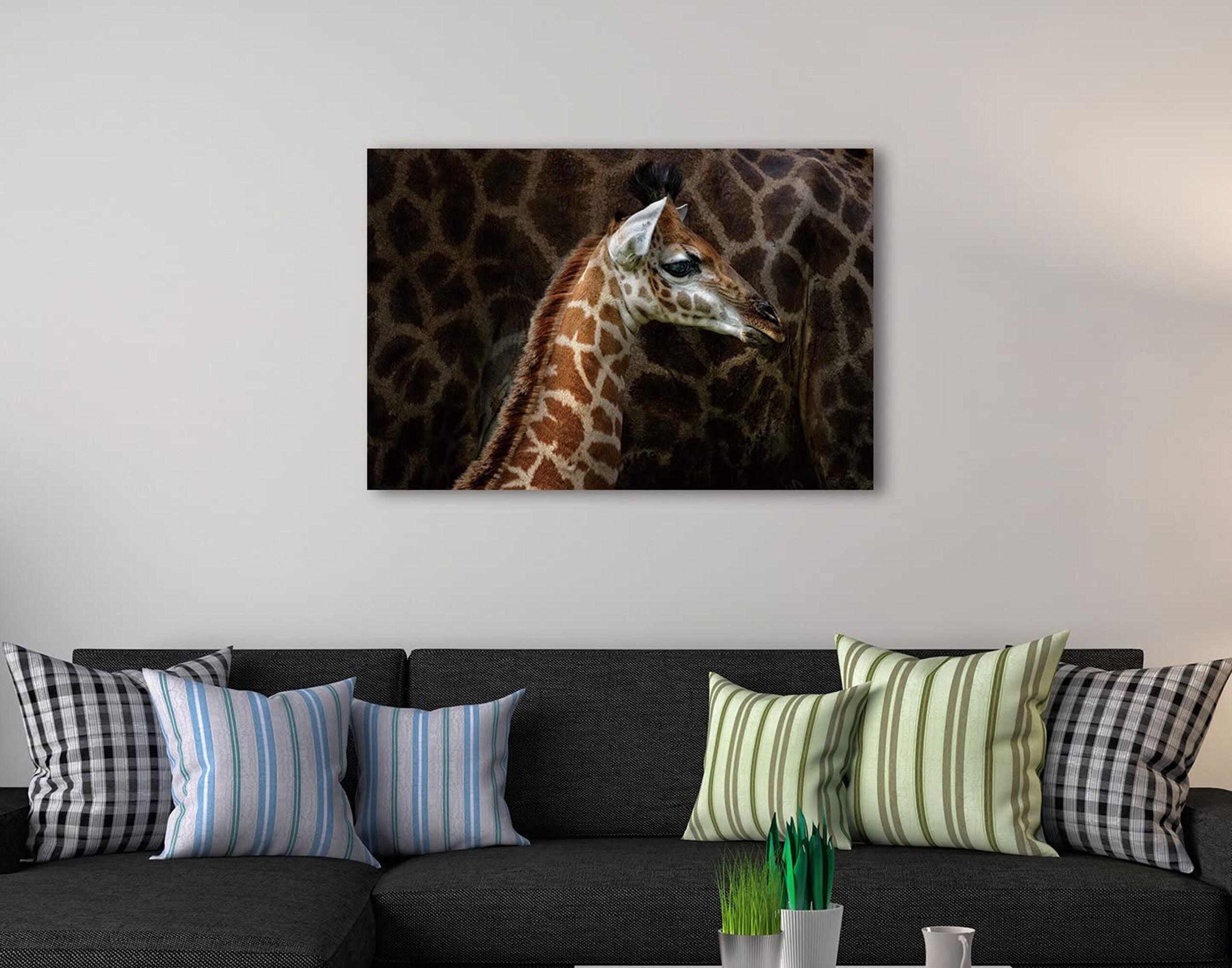 Aluminum Metal Prints Wall Art Decor 16x24 Framed Fine Etsy