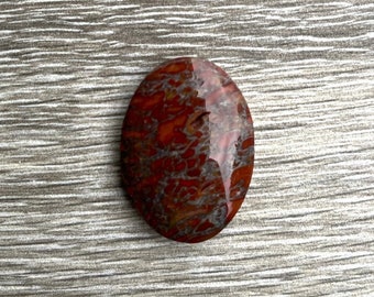 Gema Dino Bone, 32x23x6,4 mm, bisel de hombro 3,2 mm