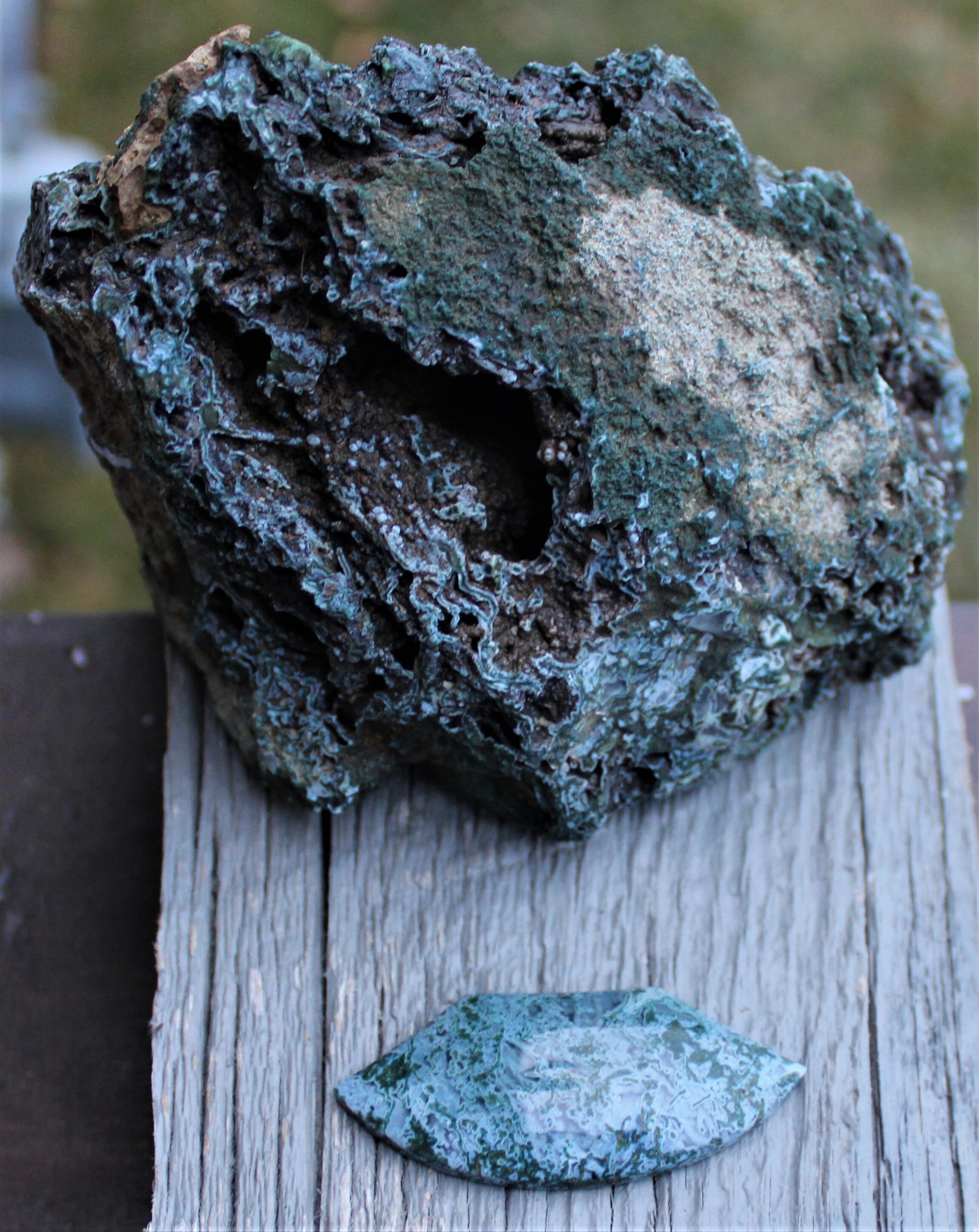 Graveyard Point Green Moss Agate Eastern Oregon/Idaho High | Etsy