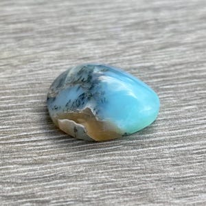 Può includere: Una gemma di opale dendritico lucida di forma ovale con una superficie liscia e traslucida. La pietra presenta un vibrante colore azzurro cielo con complesse inclusioni scure a forma di felce e una zona color marrone chiaro.