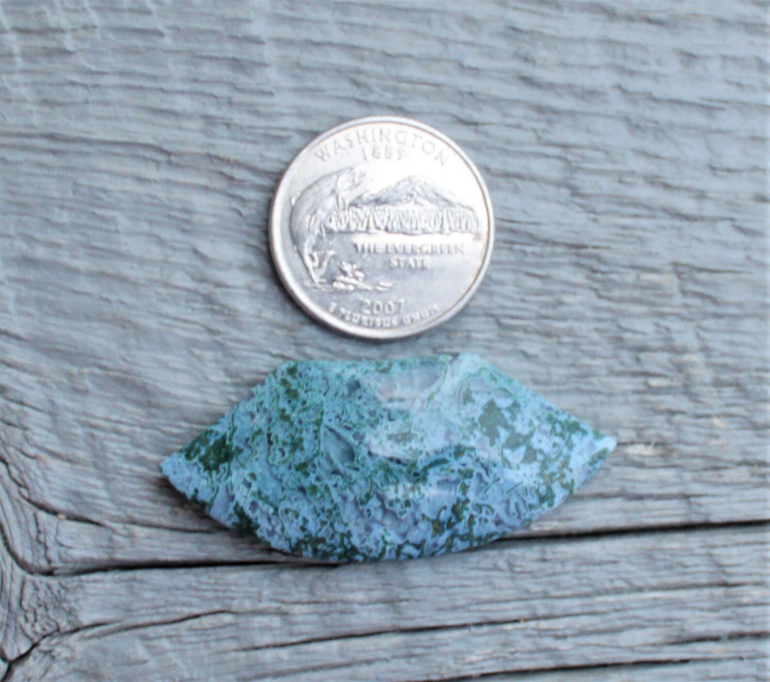 Graveyard Point Green Moss Agate Eastern Oregon/Idaho High | Etsy