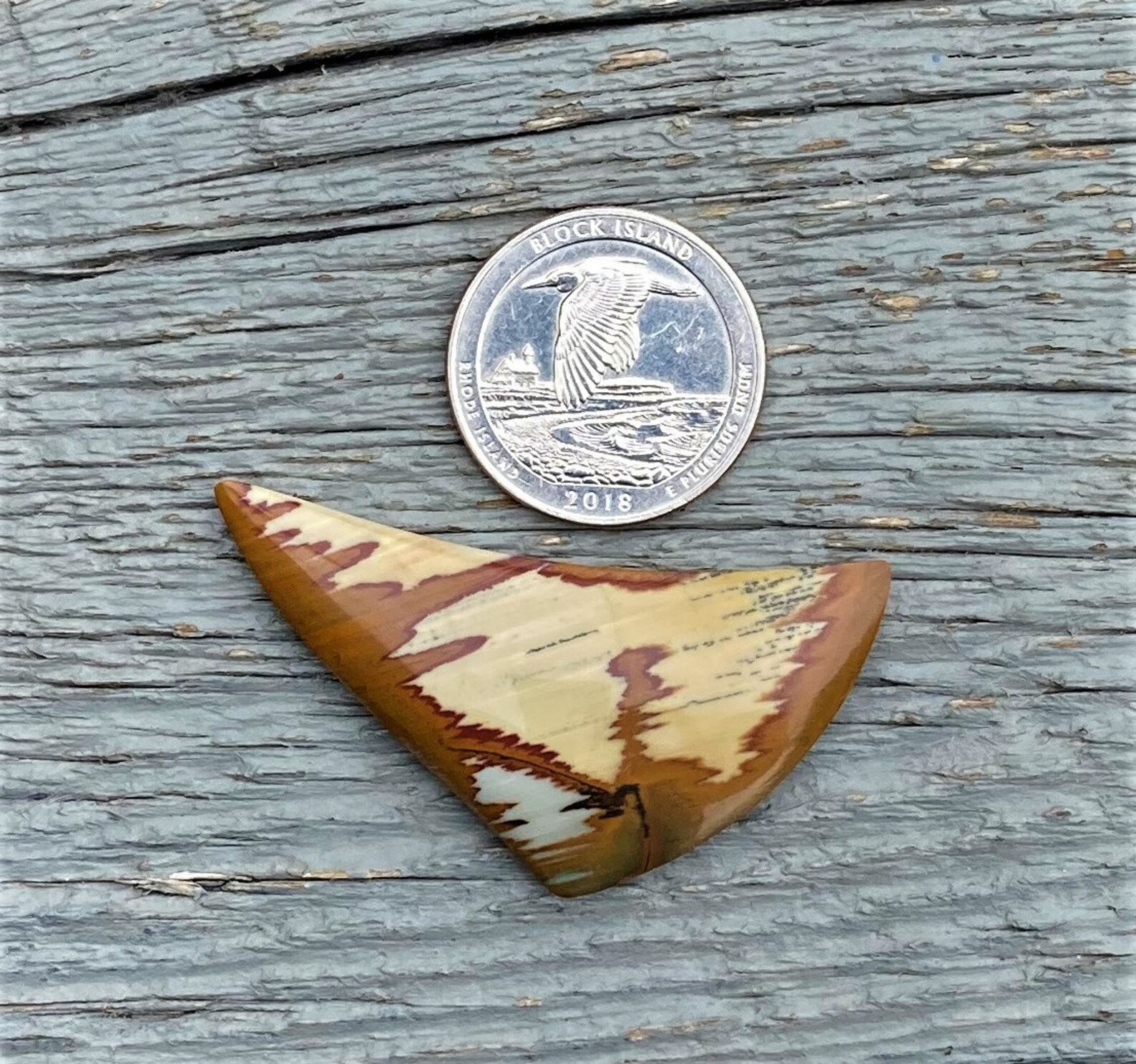 Owyhee Picture Jasper Eastern Oregon/ Idaho 50x28x6.3mm Etsy