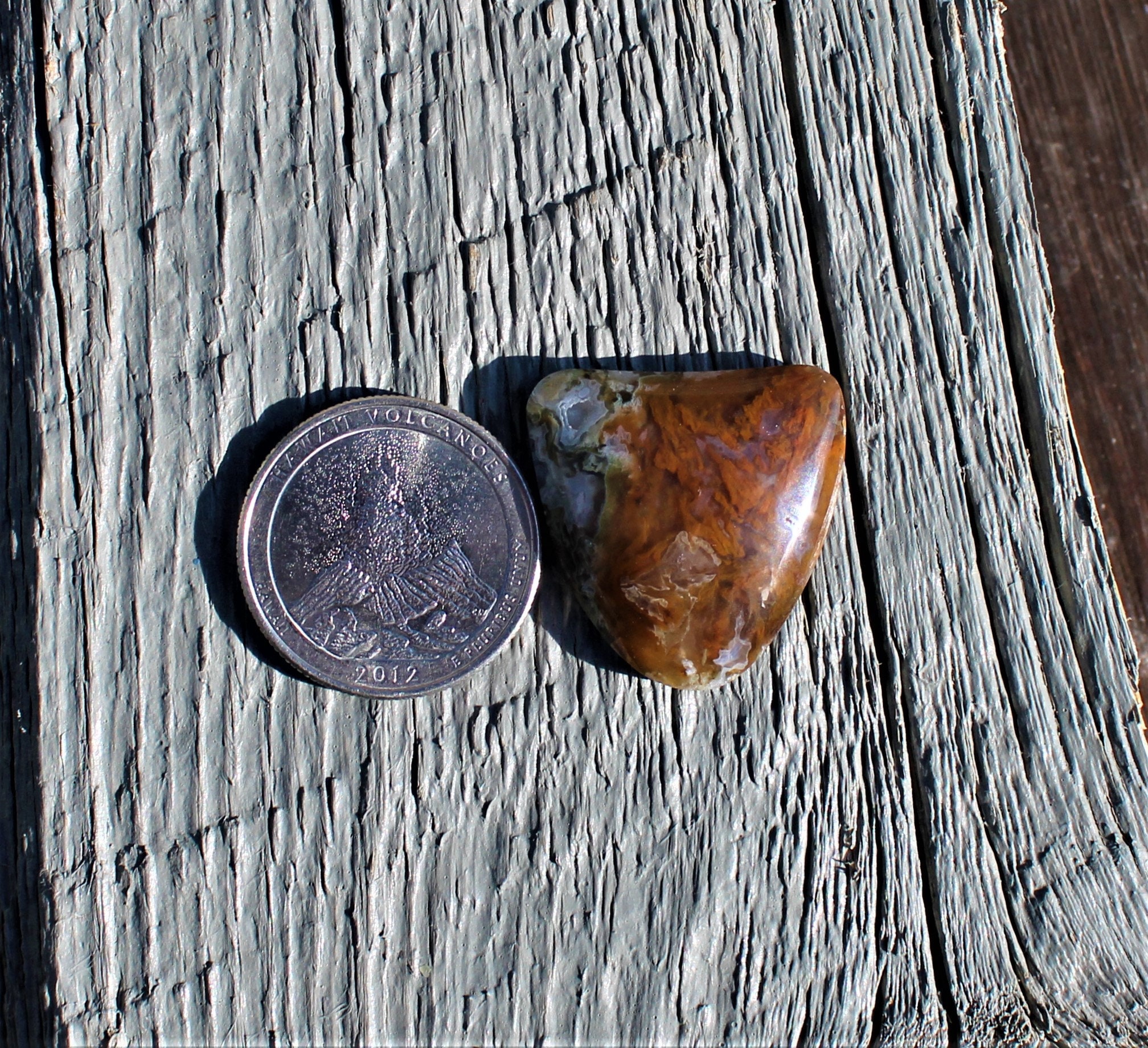 Graveyard Point Moss Agate Eastern Oregon/Idaho 25x25x6.5mm | Etsy