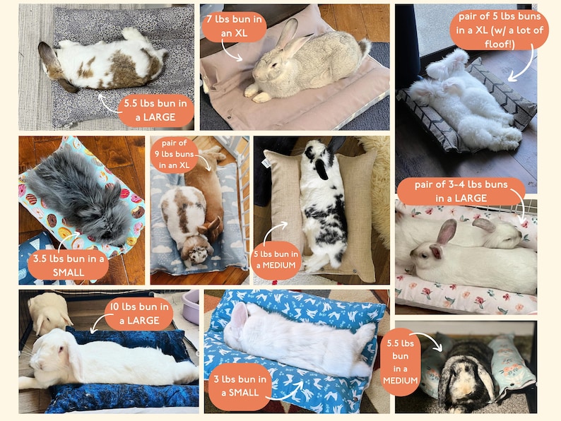 May include: A collage of nine images showing different sizes of rabbit beds with rabbits of various sizes and colors. The images are labeled with the weight of the rabbit and the size of the bed. The text "pair of 9 lbs buns in an XL" is visible in one of the images.