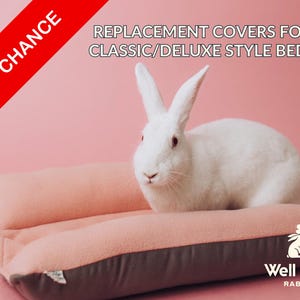 以下が含まれることがあります： 白いウサギがピンクと茶色のペットベッドの上に座っています。 ベッドは長方形で柔らかく見えます。 画像のテキストは「Replacement Covers for Classic/Deluxe Style Beds」と「Last Chance」です。 Well Kept Rabbitのロゴも表示されています。