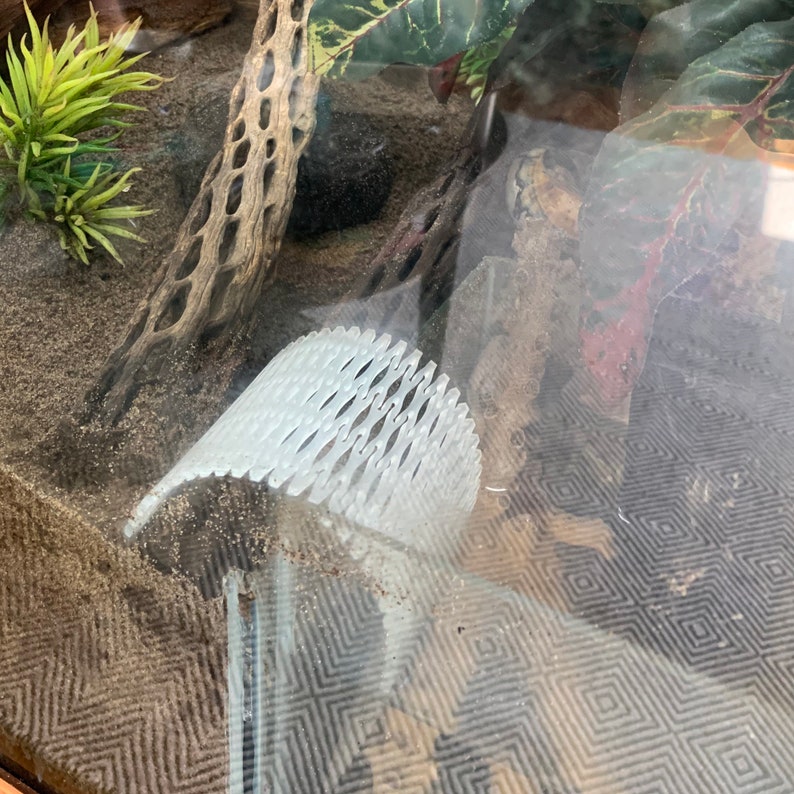 Flexible Acrylic Hermit Crab Ladderhermit Crab Gearcrab Tank Etsy