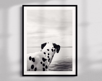 Roko | Fineart Analog Film Photo | Limited Edition Giclee Print