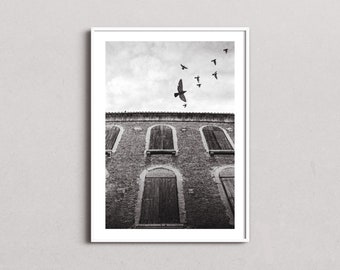 Pigeon Sky | Fineart Analog Film Photo | Limited Edition Giclee Print