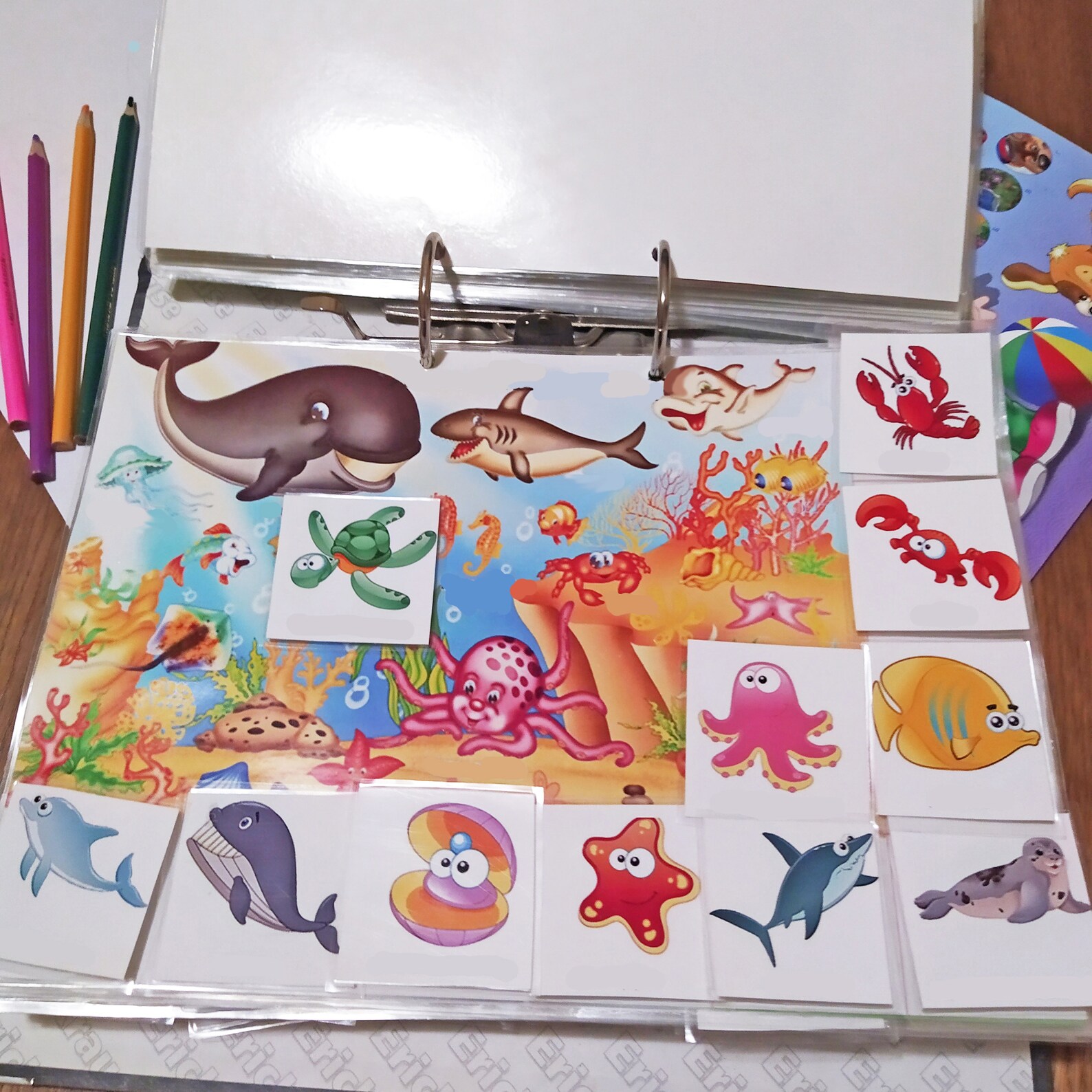 Flash Cards Sea Animals Matching Games PDF for Toddlers Etsy