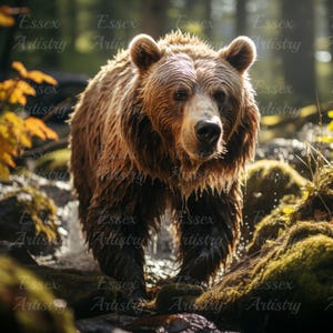 Majestic Grizzly Bear in Forest (4-Pack) | Autumn Wildlife Digital Art Download