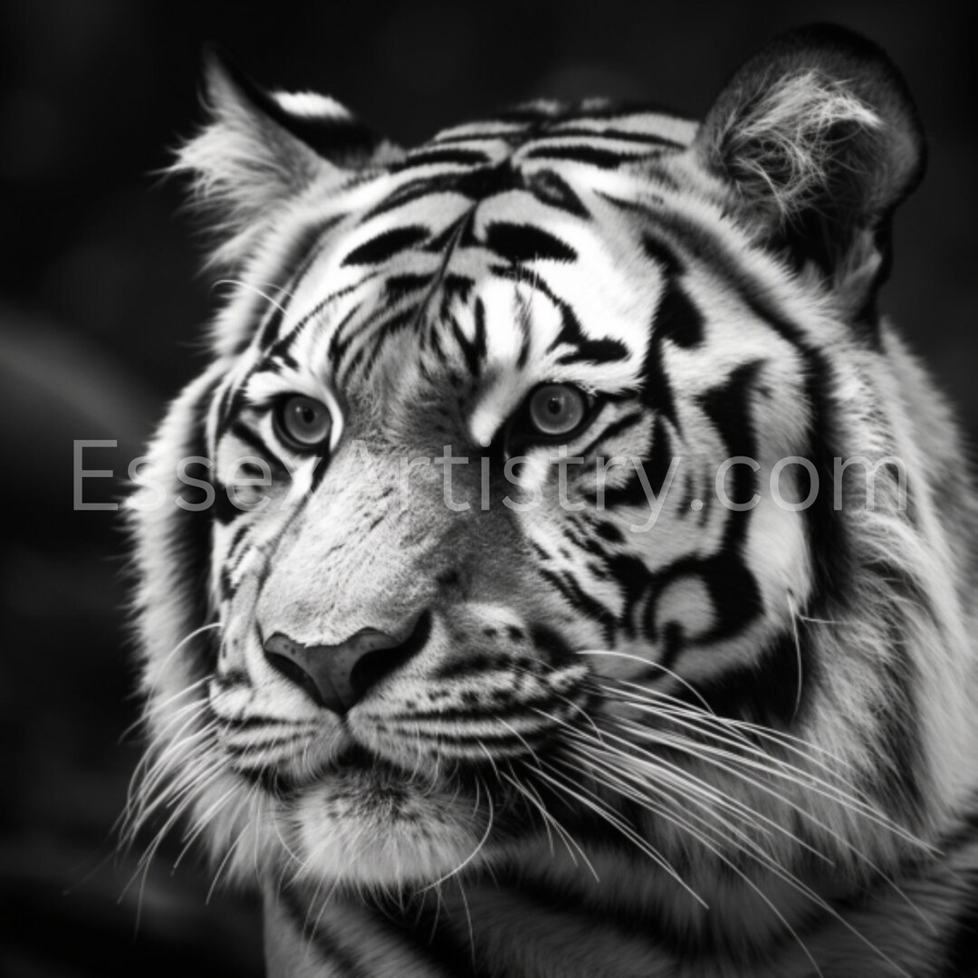 Tiger Head Art Tiger Art in Black and White Png Etsy