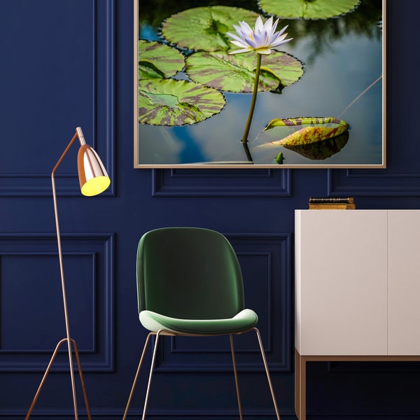 Water Lily Floral Photo Digital Instant Download